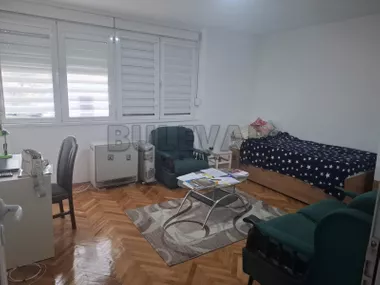 Dr Milutina Ivkovića