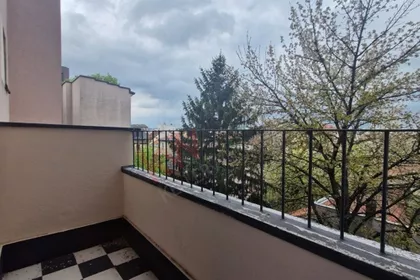 Braničevska | 4zida.rs