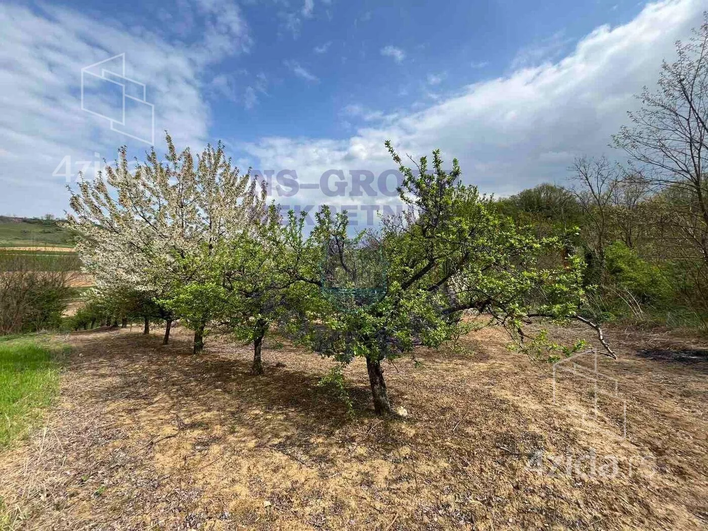 Poljoprivredno zemljište | 4zida