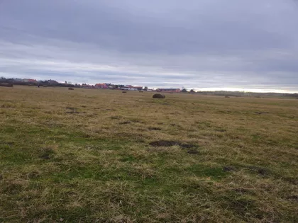 Radomira Stanojevića | 4zida.rs