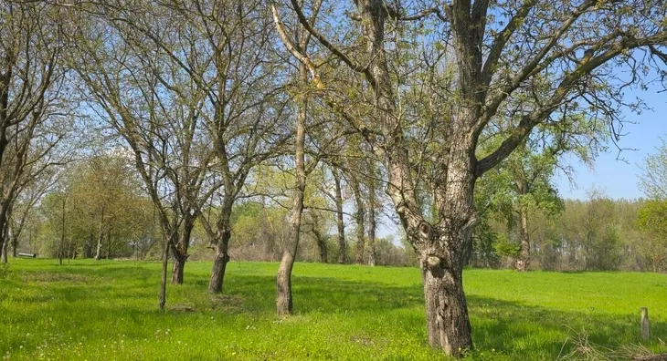 Poljoprivredno zemljište | 4zida