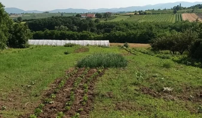 Poljoprivredno zemljište | 4zida