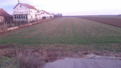 Lazara Tošića | 4zida.rs