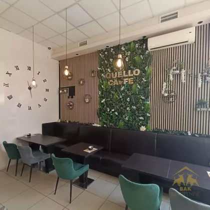 Rotkvarija | 4zida.rs