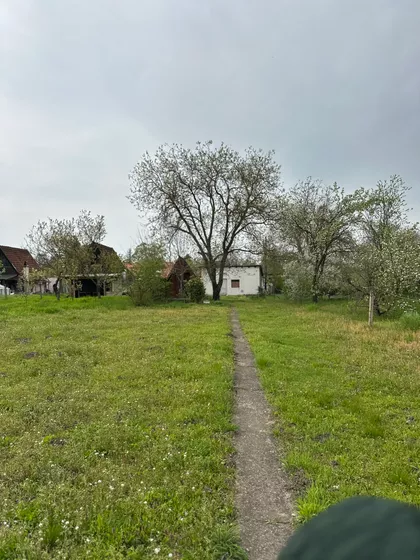 Beogradski Put 163 | 4zida.rs