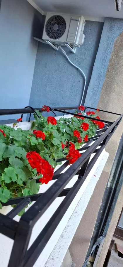 Lovre Bračuljevića 45 | 4zida.rs