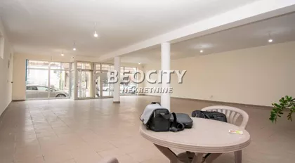 Carice Jelene | 4zida.rs