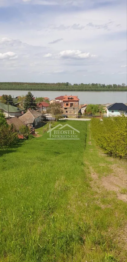 Zmaj Jovina | 4zida.rs