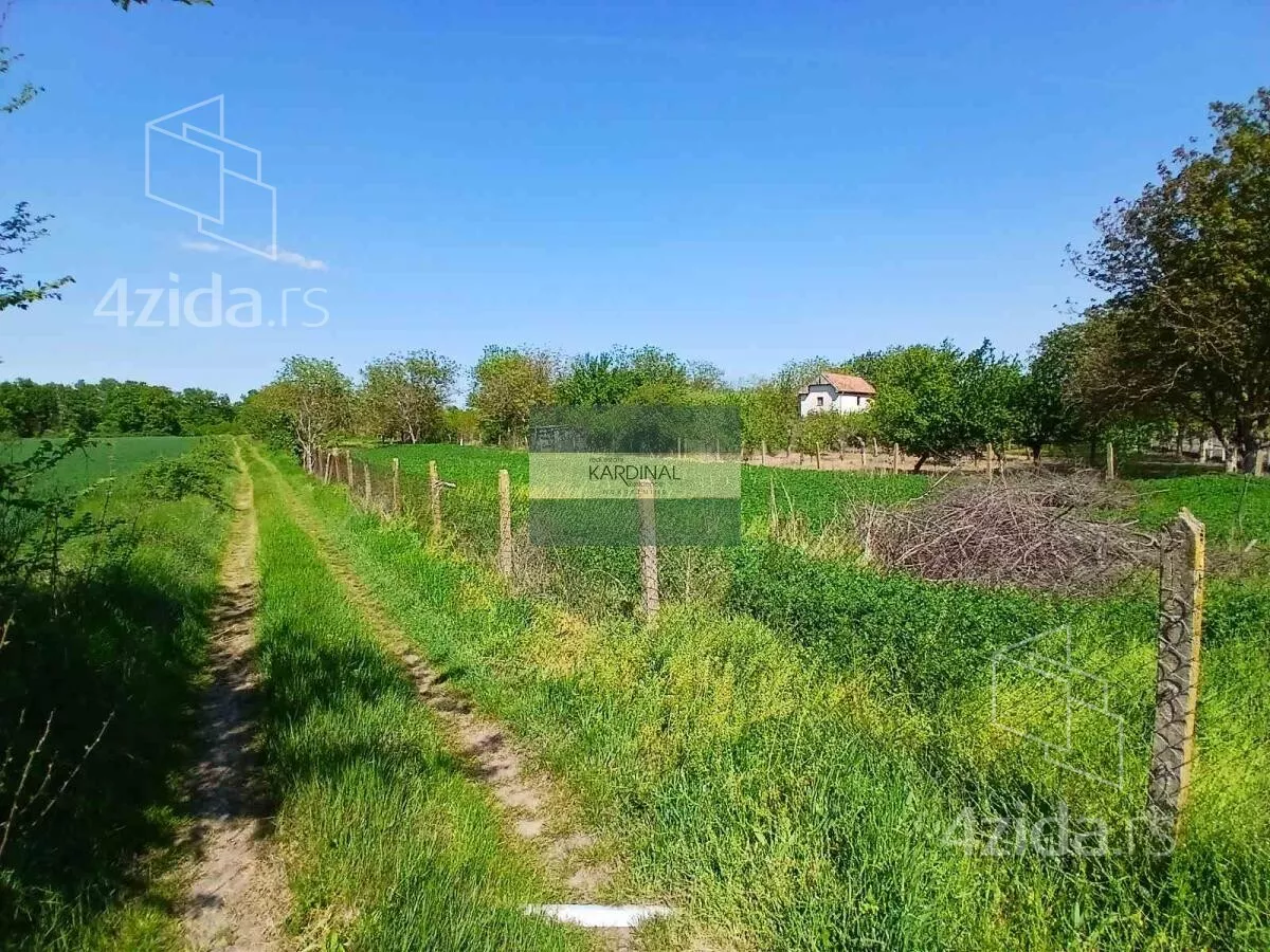 Plac | 4zida