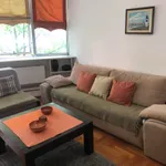 Stari Grad, Gradske lokacije, Novi Sad | 4zida.rs | 4zida.rs