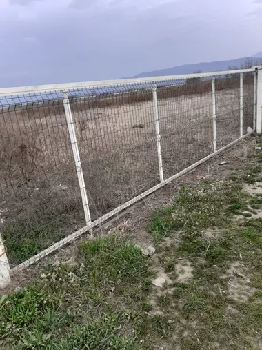 Tome Kostića