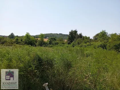 Mala Moštanica | 4zida.rs