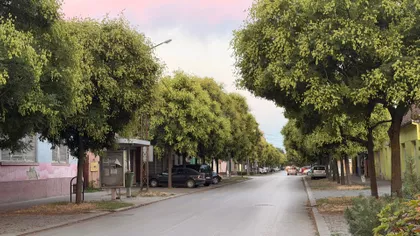 Koče Kolarova 7 | 4zida.rs