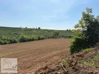 Poljoprivredno zemljište | 4zida