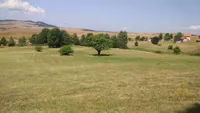 Plac | 4zida