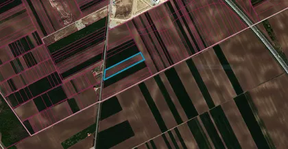 Novi Banovci | 4zida.rs