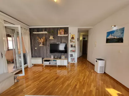 Živka Davidovića | 4zida.rs