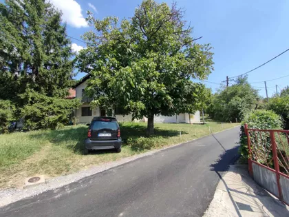 Sremska Kamenica | 4zida.rs