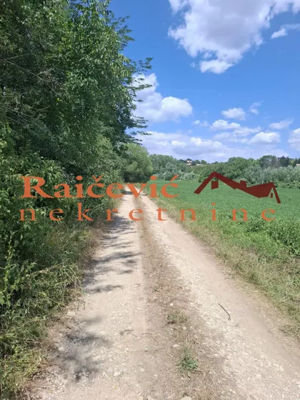 Zmaj Ognjenog Vuka | 4zida.rs