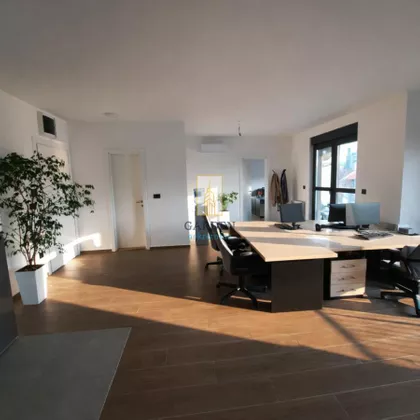 Dragoslava Srejovića | 4zida.rs