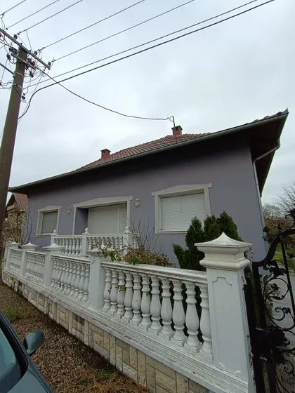 Petra Drapšina | 4zida.rs