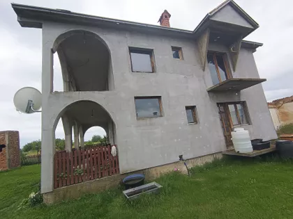 Pambukovica | 4zida.rs