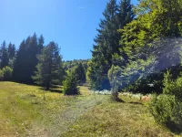 Poljoprivredno zemljište | 4zida