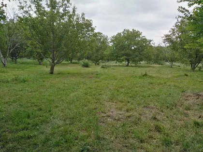 Opština Zrenjanin, Melenci | 4zida.rs