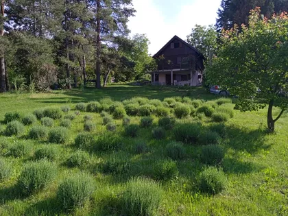Vinogradarska | 4zida.rs