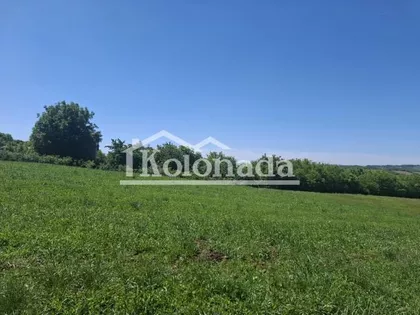 Popović | 4zida.rs