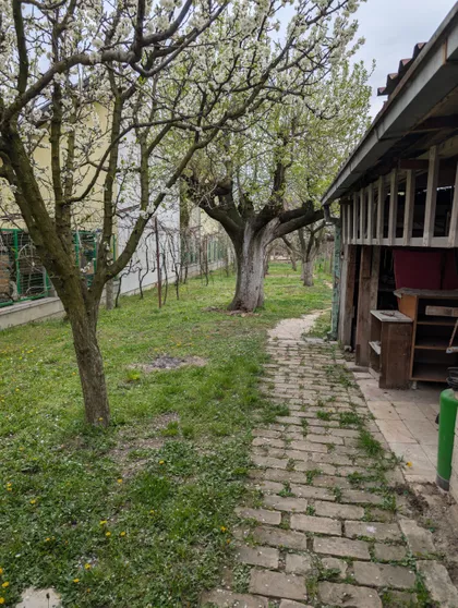 Rakovačka 39 | 4zida.rs