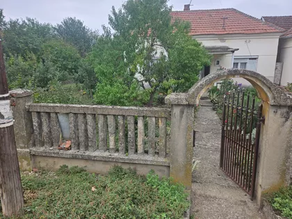 Jove Kursule | 4zida.rs