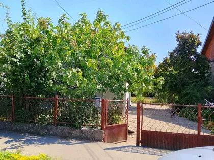 Surčin (mesto) | 4zida.rs