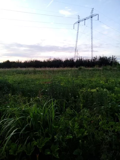 Vladimira Rajkovica - Veliki lug | 4zida.rs