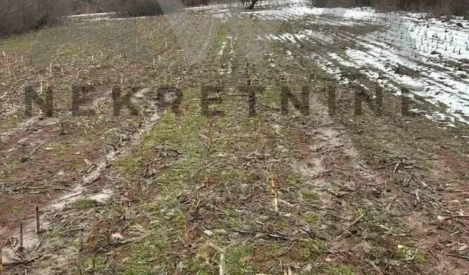 Poljoprivredno zemljište | 4zida