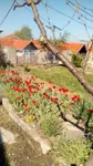 Hisar, Gradske lokacije, Leskovac | 4zida.rs | 4zida.rs