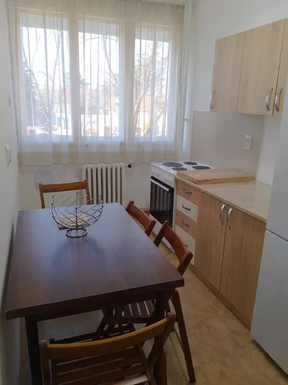 Sava Kovačević | 4zida.rs