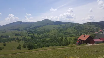 Jelje | 4zida.rs