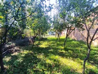 Misa, Gradske lokacije, Pančevo | 4zida.rs