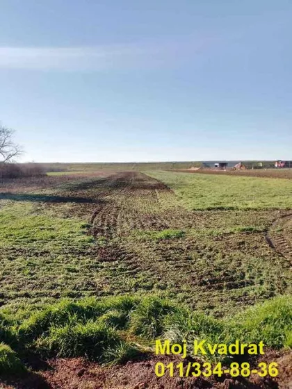 Boljevačka | 4zida.rs