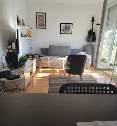 Smederevski put