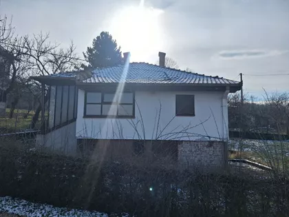 Rada Vilotijevića | 4zida.rs