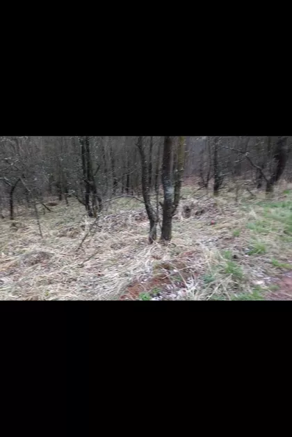 Gornja Mutnica | 4zida.rs