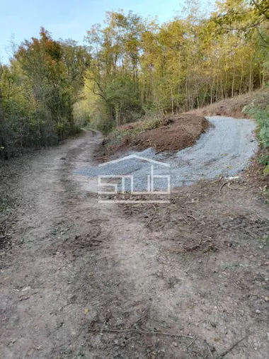 Vranić