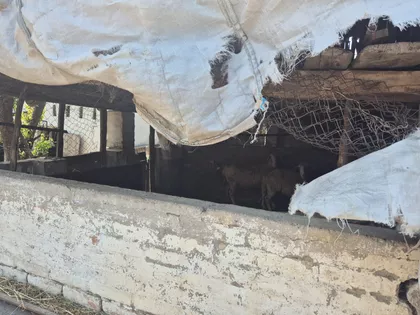 Konjička 59,61 | 4zida.rs