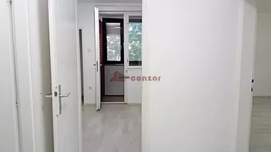Radijalac