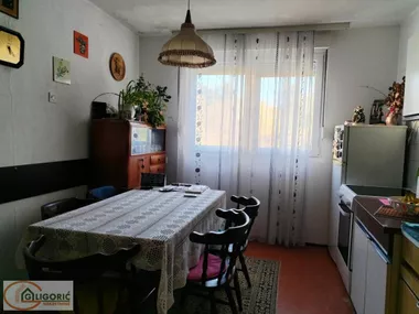 Žila Verna