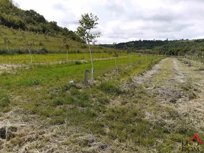 Čortanovci | 4zida.rs