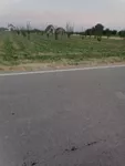 Poljoprivredno zemljište | 4zida