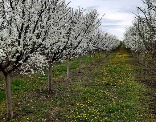 Turistički objekat | 4zida